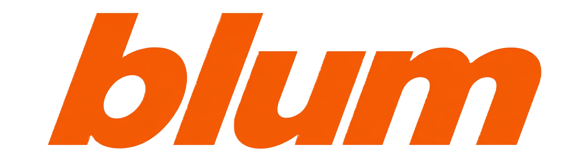 Blum Logo