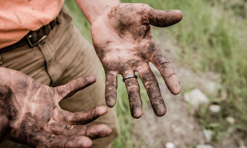 7 Fakten über Hygiene